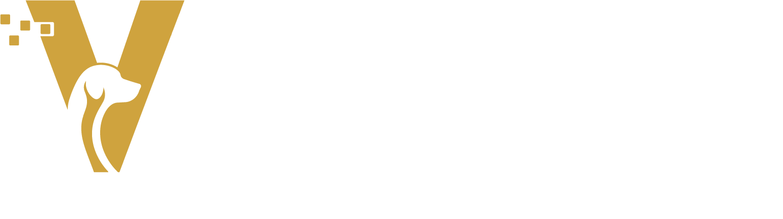 Vet Digital